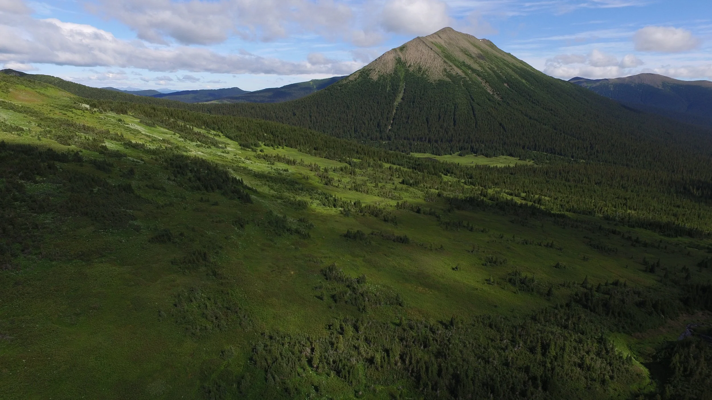 Holzworth Meadows — Visit Tumbler Ridge